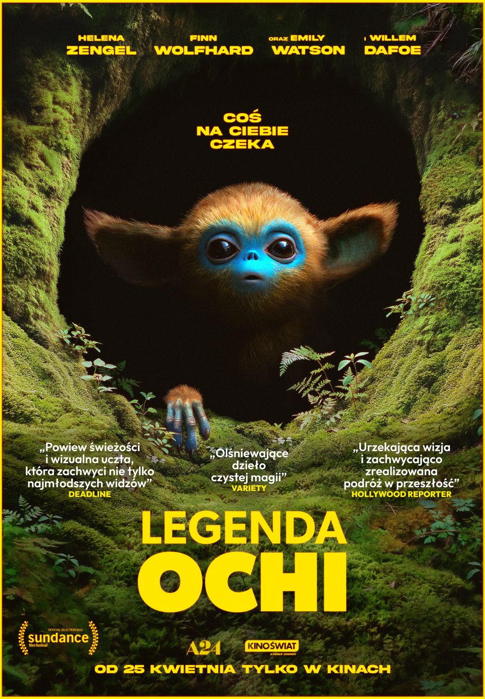LEGENDA OCHI